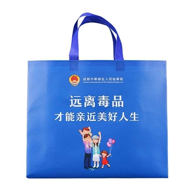 Gelamineerde Vriendschappelijke het Winkelen van Tote Polypropylene Non Woven Bags Eco Zak
