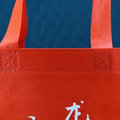 Bestand Scheur van het Handvatzakken van Eco de Vriendschappelijke Tote Custom Printed Polypropylene Non Geweven Zakken
