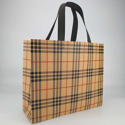 Eco Vriendschappelijk niet Geweven het Winkelen Gelamineerd Zakken60gsm Polypropyleen