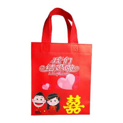 Milieuvriendelijk Gelamineerd Polypropyleen Tote Bags For Shopping