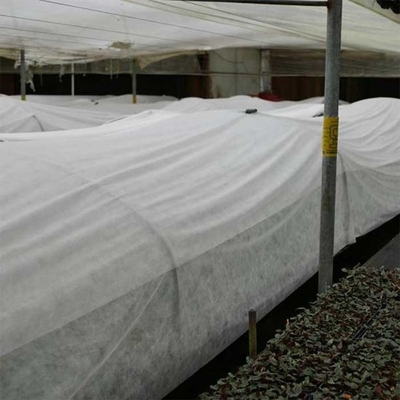160gsm landbouw niet Geweven Stof 190cm Witte Bestand Scheur